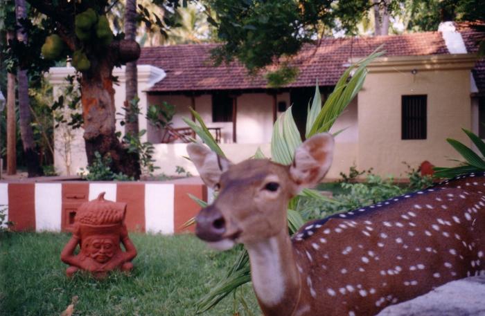 indeco hotels swamimalai kumbakonam