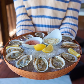 the hampton maid