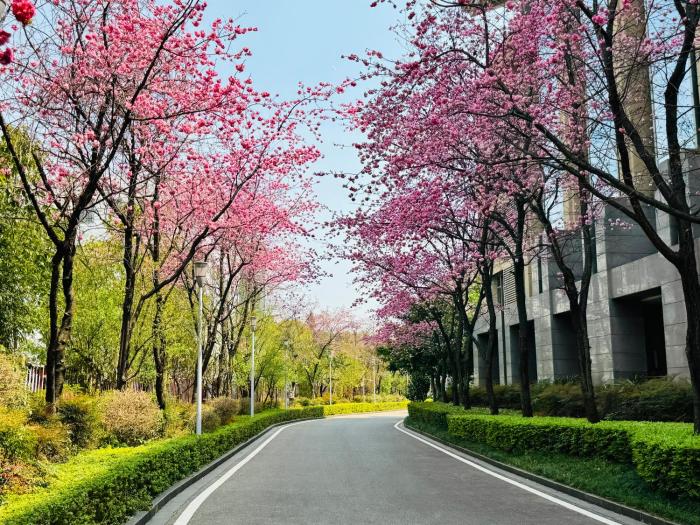 intercontinental kunming by ihg