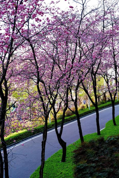 intercontinental kunming by ihg