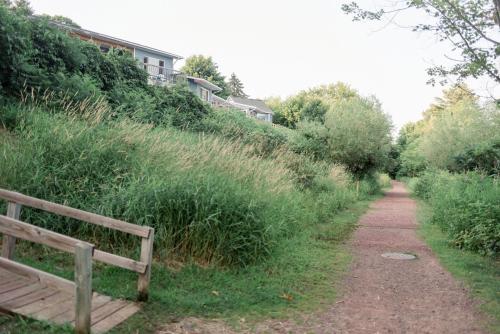 seagull bay motel