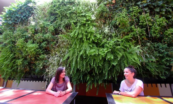 original backpackers