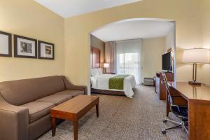 comfort suites leesburg