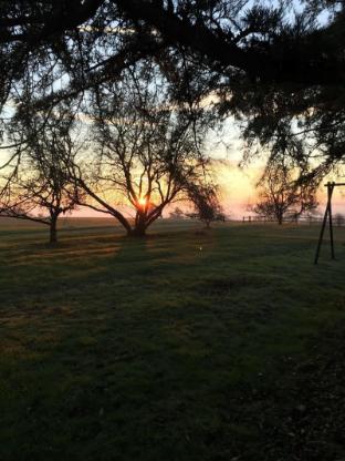 limeray