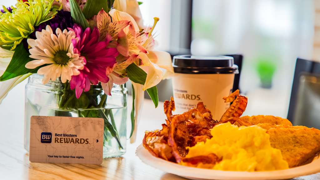 best western okemos east lansing hotel and suites