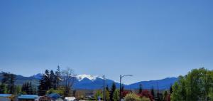 olympic view inn