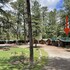 caseys cabins