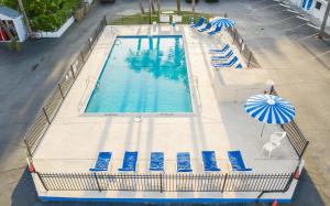 royal palms motel