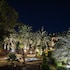 seliyaa hotel