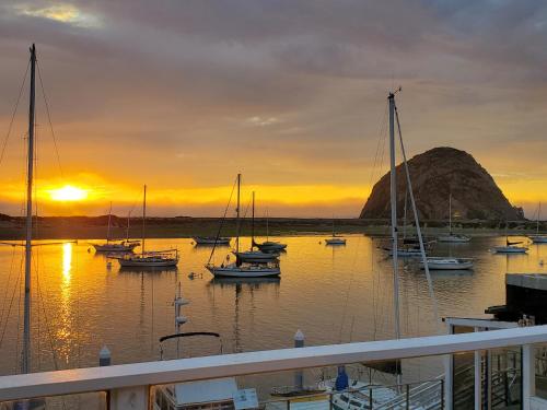 grays inn and gallery