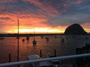 grays inn and gallery