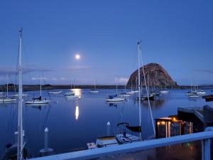 grays inn and gallery