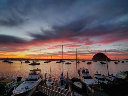 morro bay