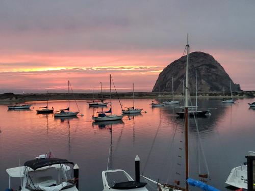 morro bay