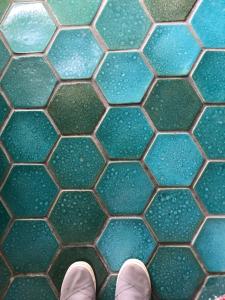 the water street inn