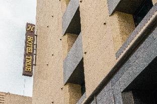 hotel true