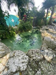 hoosville hostel