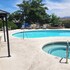 cottonwood