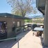 cottonwood