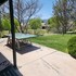 cottonwood
