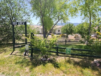 cottonwood