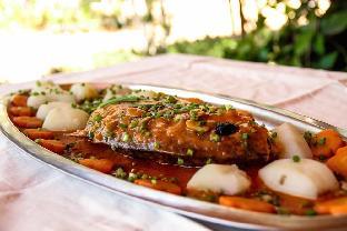 hotel solidaire mangily