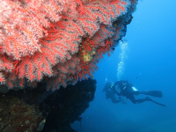 trinita dagultu e vignola