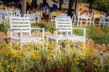 trinita dagultu e vignola