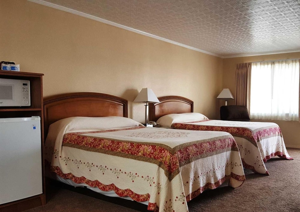 bristlecone motel
