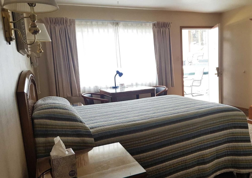 bristlecone motel