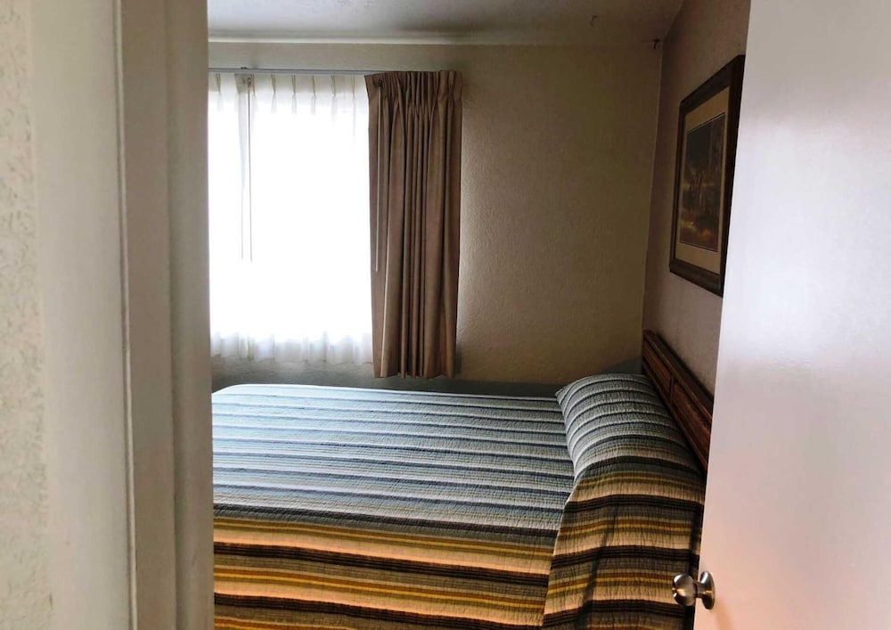 bristlecone motel