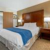 comfort inn anderson south