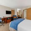 comfort inn anderson south