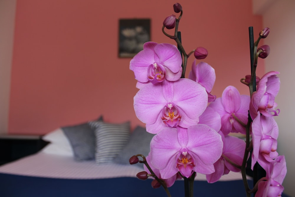 albergo residence pucara