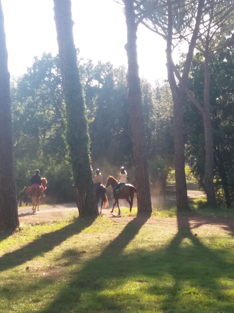 monteverdi marittimo