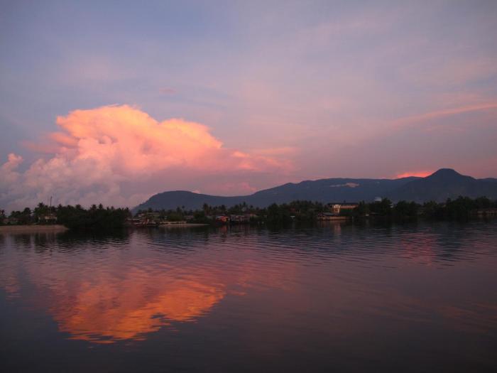rikitikitavi kampot