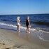 sea shell motel