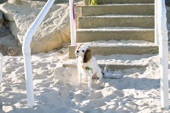 Sea Shell Motel,,3 star