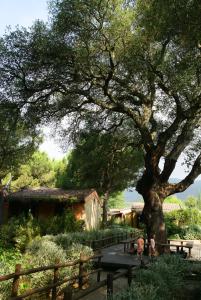 castiglione della pescaia