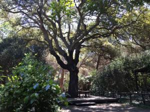 castiglione della pescaia