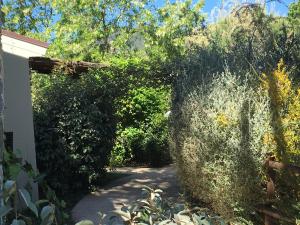 castiglione della pescaia