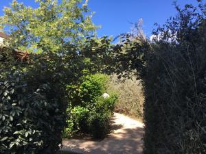 castiglione della pescaia