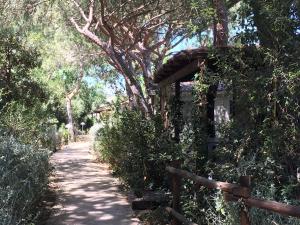 castiglione della pescaia