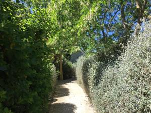 castiglione della pescaia