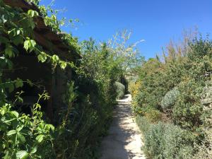 castiglione della pescaia