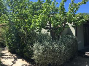 castiglione della pescaia