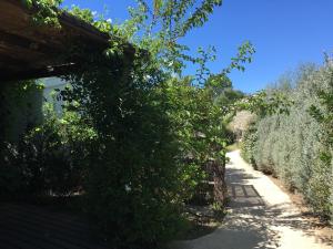 castiglione della pescaia