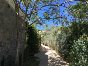 castiglione della pescaia