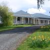 kauri villas