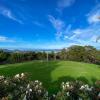 kauri villas
